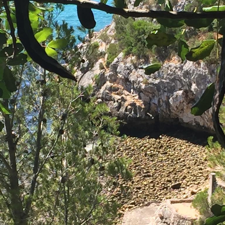 Casa Do Farol Da Arrabida Villa Portinho da Arrábida Eksteriør bilde