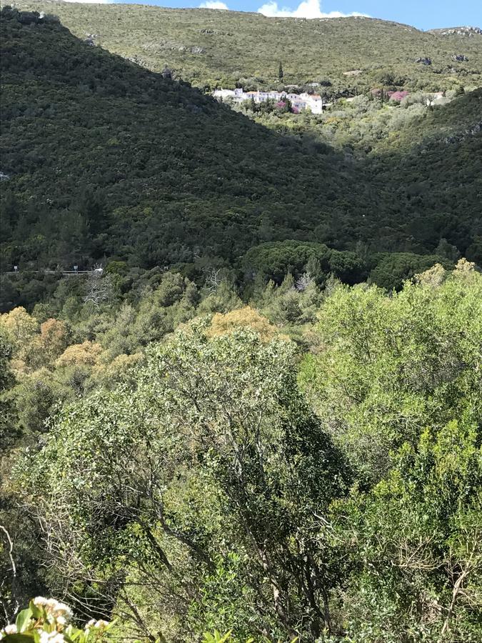Casa Do Farol Da Arrabida Villa Portinho da Arrábida Eksteriør bilde
